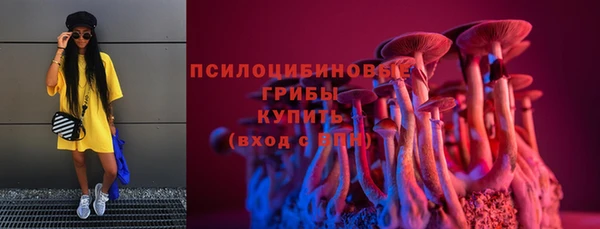 mix Мегион