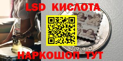 прущие грибы Комсомольск-на-Амуре