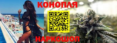 прущие грибы Комсомольск-на-Амуре