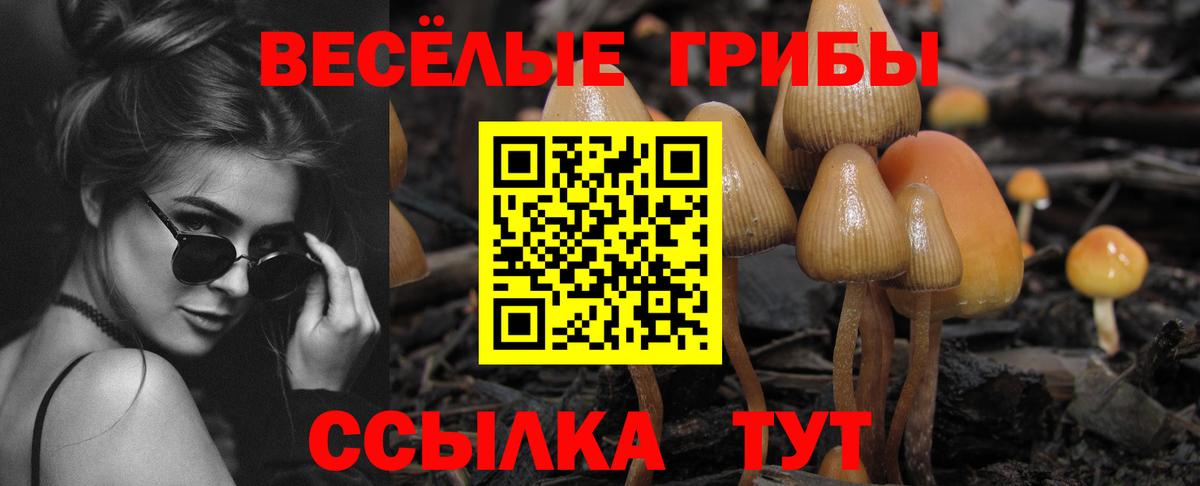 Нягань  Псилоцибиновые грибы мицелий  Вход с VPN 